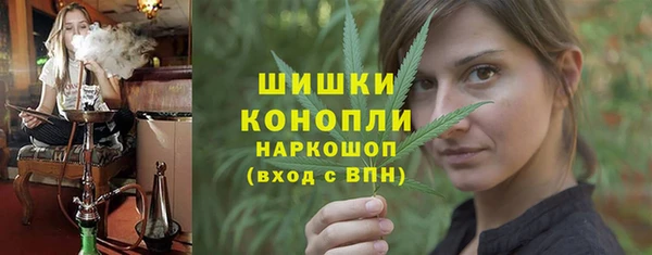 ГАЛЛЮЦИНОГЕННЫЕ ГРИБЫ Бородино
