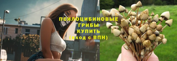 круглые Бронницы