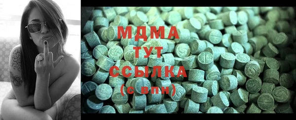 ГАЛЛЮЦИНОГЕННЫЕ ГРИБЫ Бородино