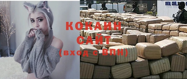 ГАЛЛЮЦИНОГЕННЫЕ ГРИБЫ Бородино