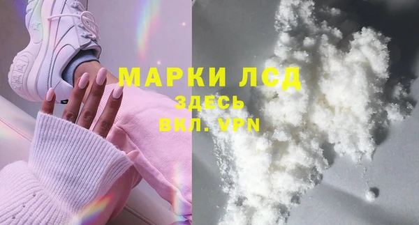 ГАЛЛЮЦИНОГЕННЫЕ ГРИБЫ Бородино
