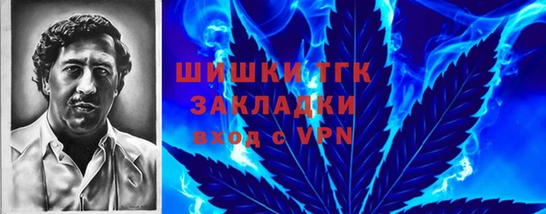 круглые Бронницы