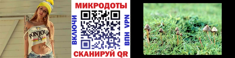 Галлюциногенные грибы мицелий  Северобайкальск 